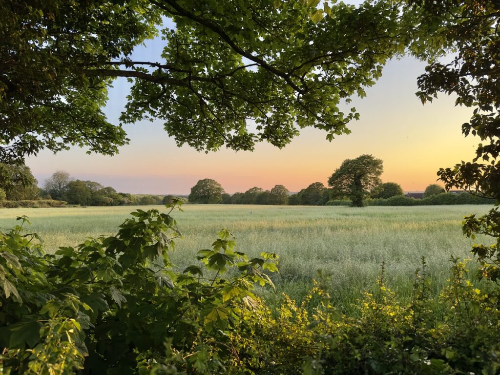 Thames Valley Oils Ltd Cooking Oil Supply Buckinghamshire